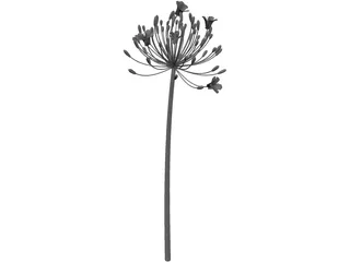 Bell Agapanthus Flower 3D Model preview
