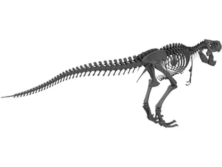 Tyrannosaurus Rex Skeleton 3D Model preview
