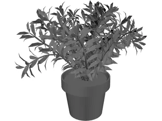 Albero 3D Model preview
