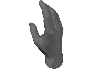Hand 3D Model preview