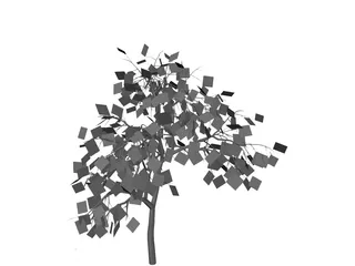 Weeping Higan Cherry 3D Model preview