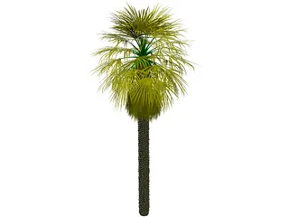 Washingtonia Palm 3D Model preview