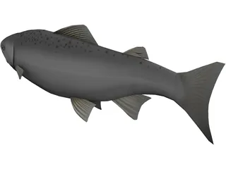 Happy Fish 3D Model preview