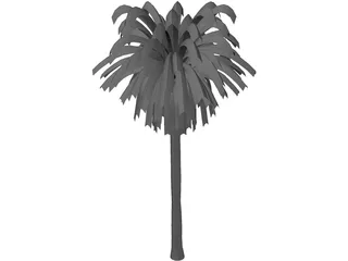Palm Tree 3D Model preview