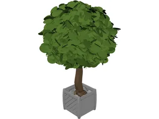 Tree 3D Model preview