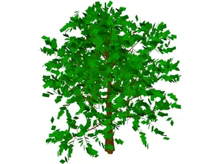 Baum Tree 3D Model preview
