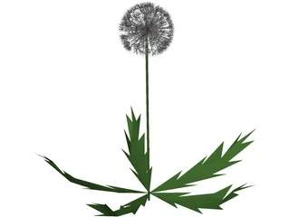 Dandelion 3D Model preview