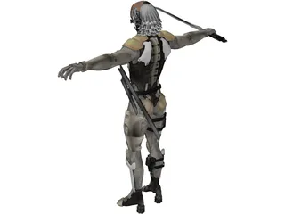 Raiden 3D Model preview