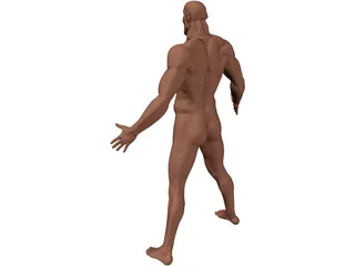 Man 3D Model preview