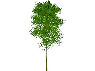 Tree 3D Model preview