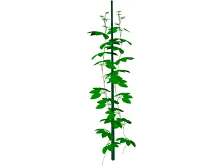 Plant 3D Model preview