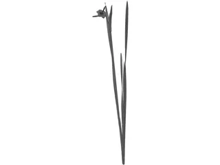 Suisen 3D Model preview