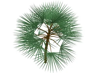 Palm 3D Model preview