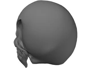 Skull 3D Model preview