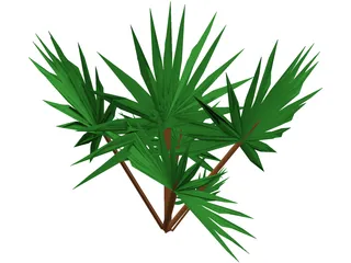 Palmetto Plant 3D Model preview