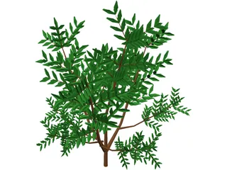 Azalea Bush 3D Model preview