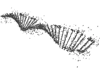 DNA Human 3D Model preview