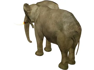 Elephant 3D Model preview
