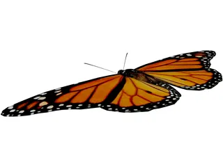 Butterfly 3D Model preview