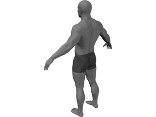 Male 3D Model preview