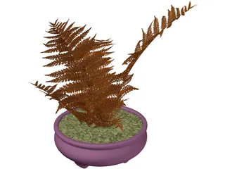 House Plant 3D Model preview