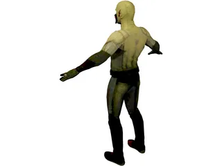 Flash 3D Model preview