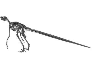 Velociraptor Skeleton 3D Model preview