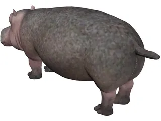 Hippopotamus 3D Model preview