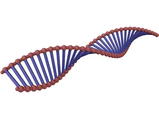 DNA Double Helix 3D Model preview