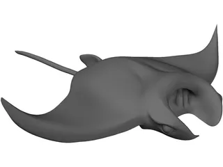 Manta Ray 3D Model preview