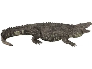 Crocodile 3D Model preview