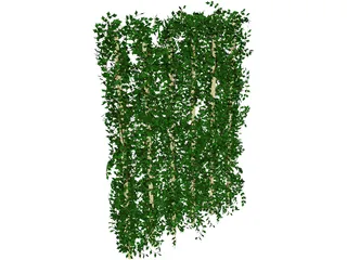 Plant Ivy 3D Model preview