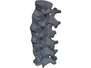 Lumbar Spine 3D Model preview