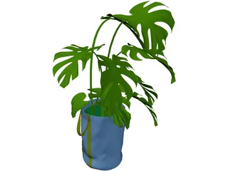 Monstera Deliciosa 3D Model preview