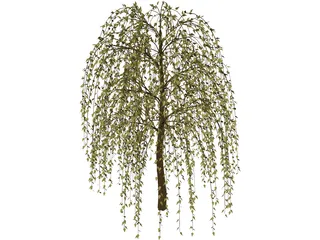 Tree 3D Model preview