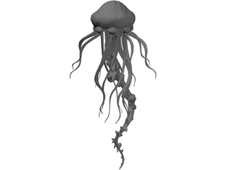 Jelly Fish 3D Model preview