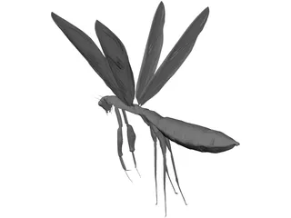 Flying Mantis 3D Model preview
