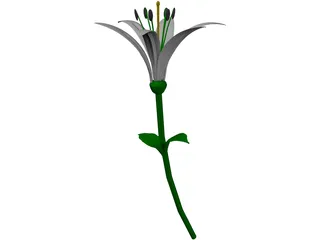 Lily 3D Model preview