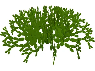 Opuntia 3D Model preview