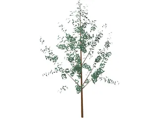 Tree 3D Model preview