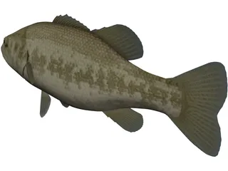 Florida Largemouth Bass 3D Model preview