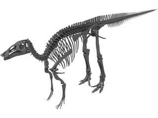 Edmontosaurus Skeleton 3D Model preview