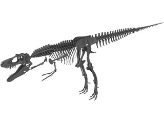 Gorgosaurus Skeleton 3D Model preview