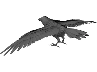 Raven 3D Model preview