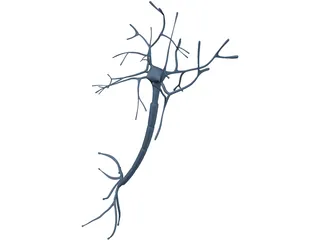 Neuron 3D Model preview