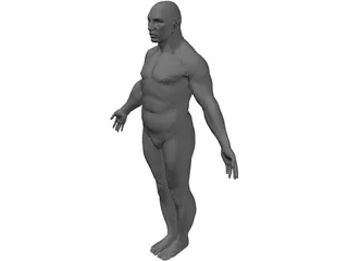 Male Human Figure 3D Model preview