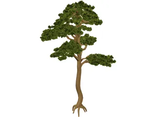 Pine 3D Model preview