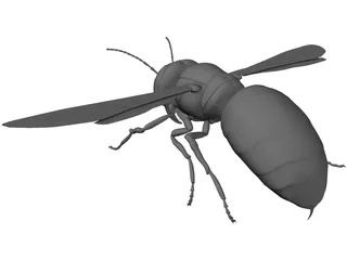 Hornet 3D Model preview