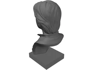 Han Solo Bust 3D Model preview