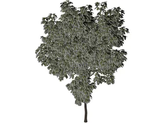Arbol Tree 3D Model preview